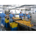 Automatic canned peach/orange/pineapple/pear processing line